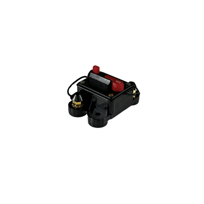 VanXcel Automatic Fuse 100A